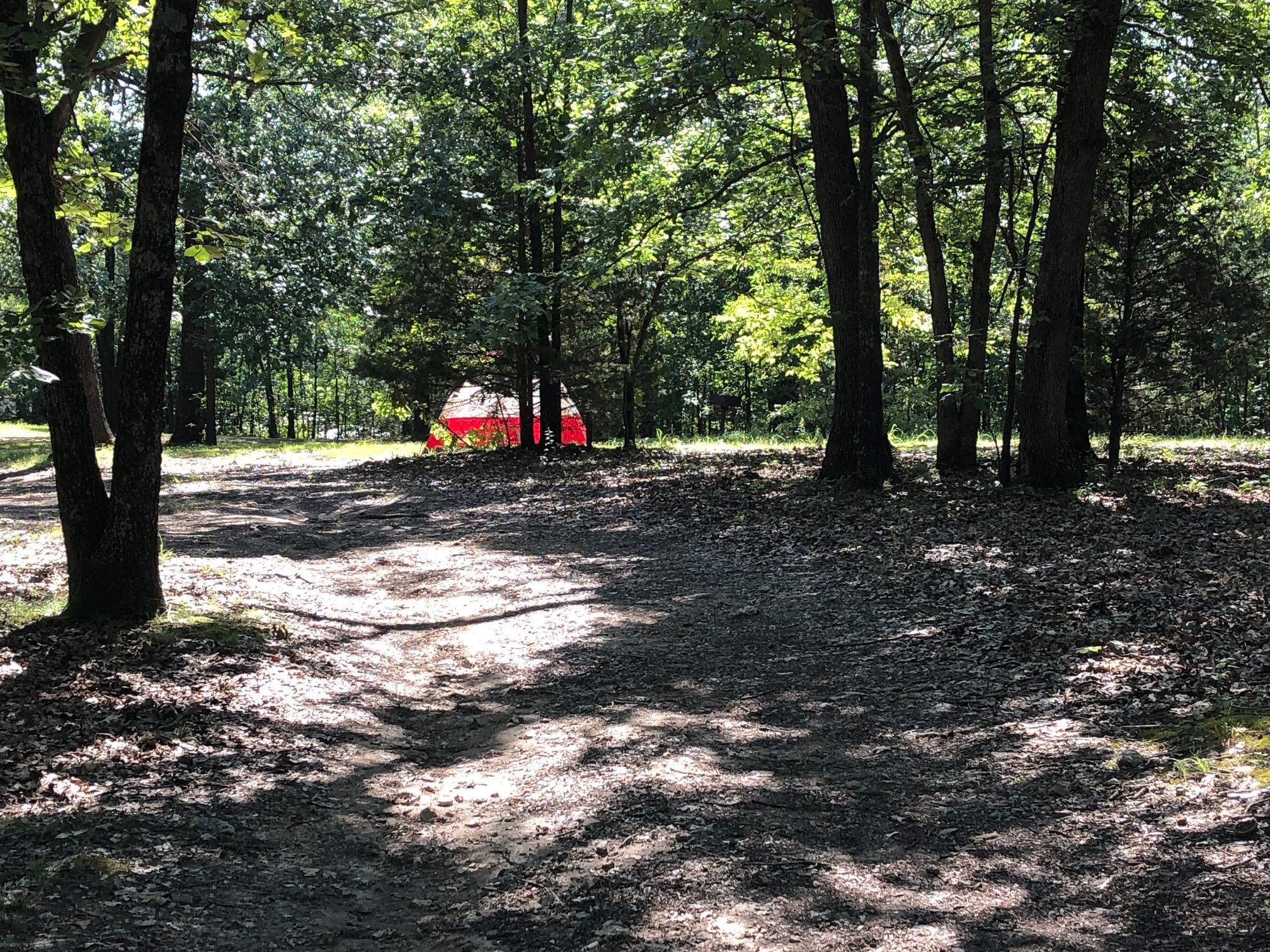 Primitive Tenting