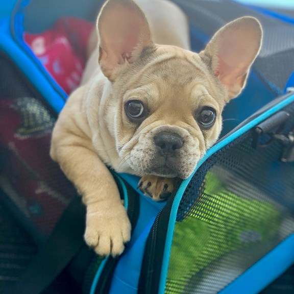 Checking in, please!