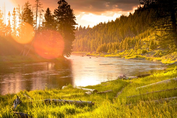 Paradise Scenic River Tours