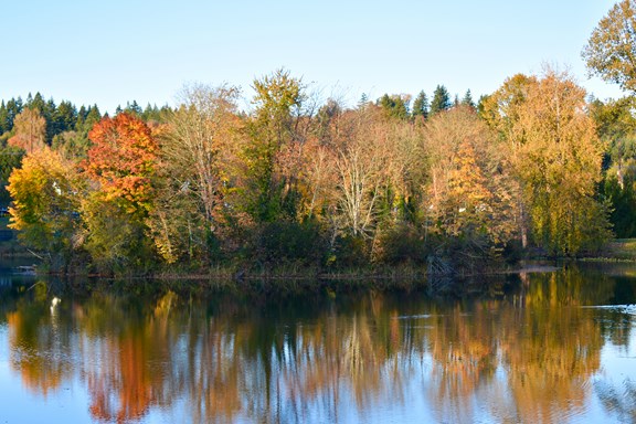 Sacajawea Park