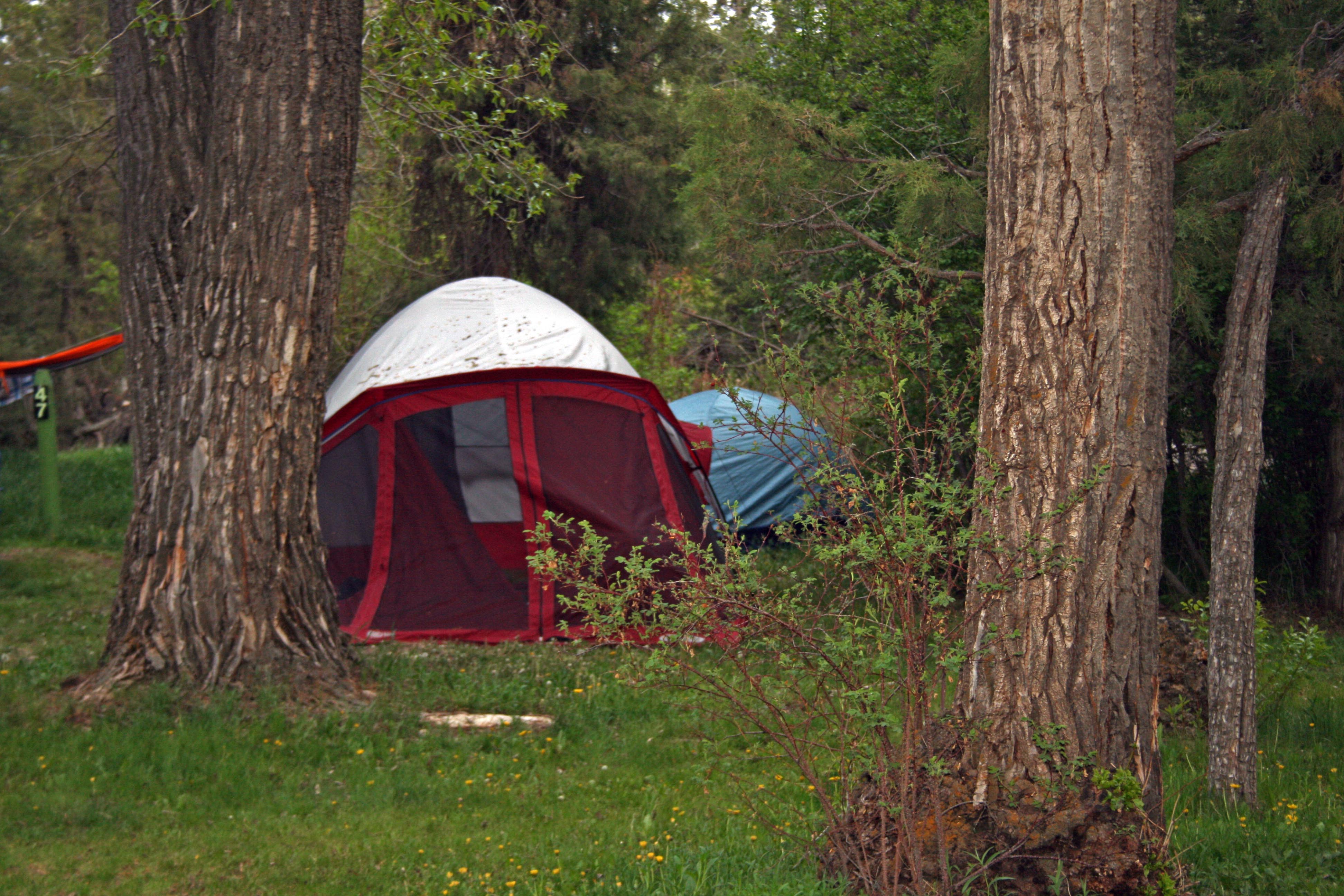 Tent Camping By The RIver