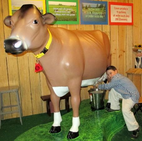 Mayfield Dairy Tours Athens, TN