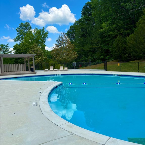 50,000-Gallon Salt Water Pool