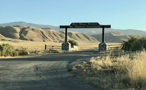 Wild Wolves Preserve