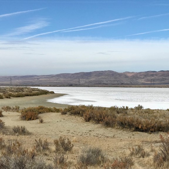 Carrizo Plain National Monument