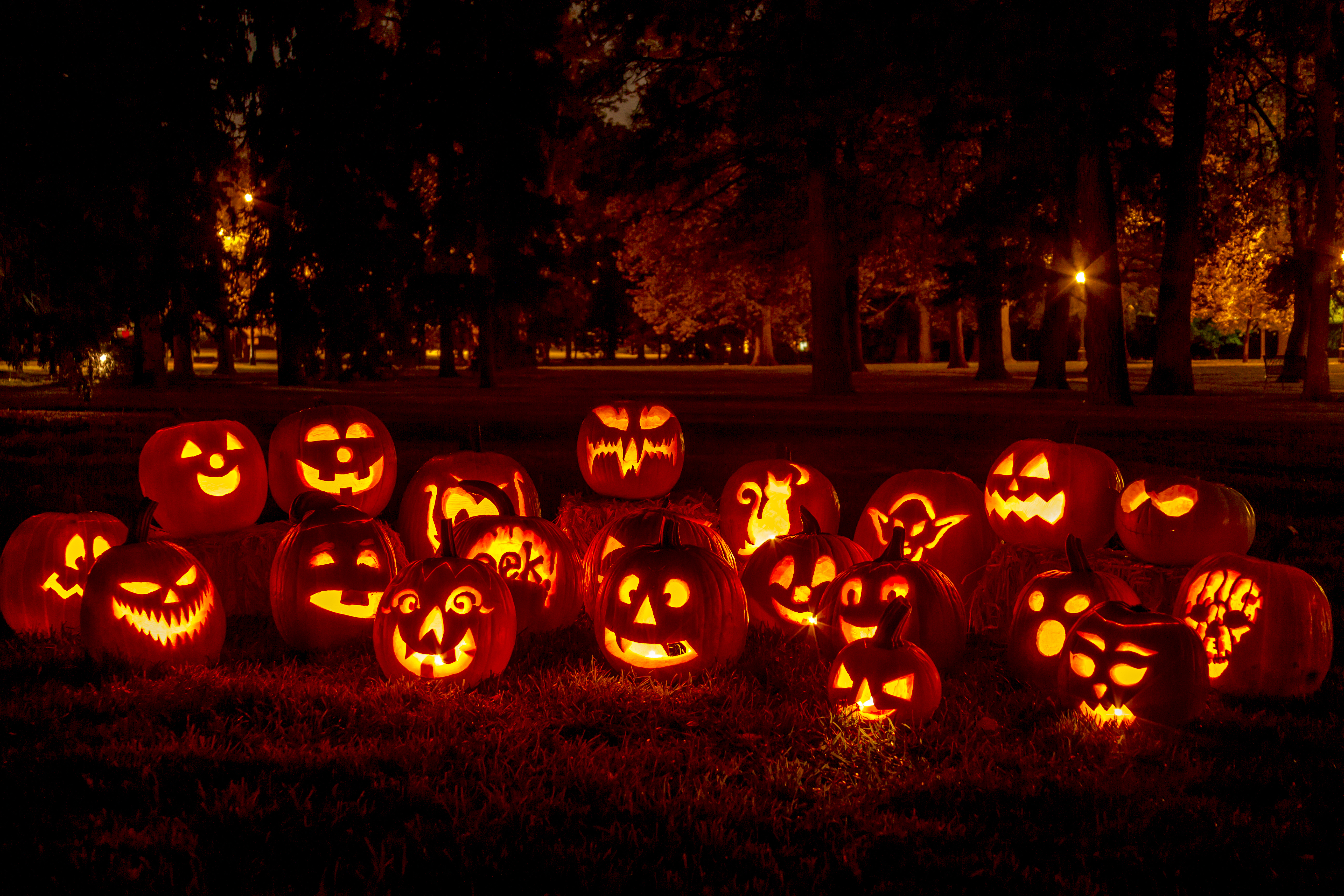 Halloween Weekend #4 Photo