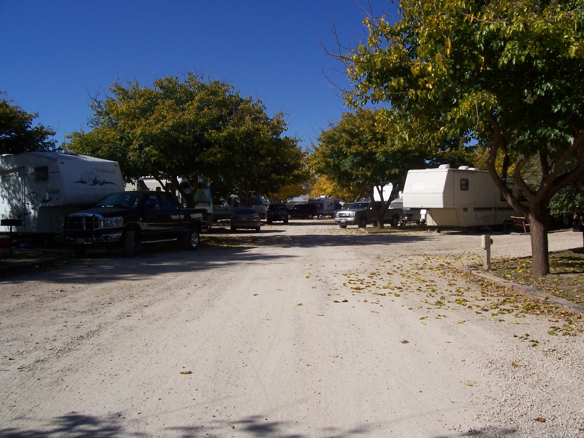 Back-in Sites with Water & Electric