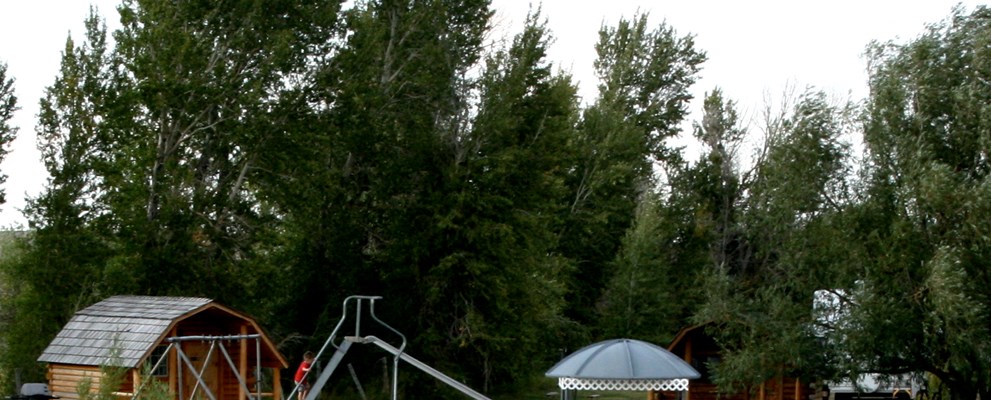 Camping Cabins