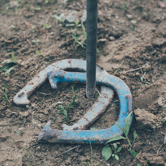 Horseshoes