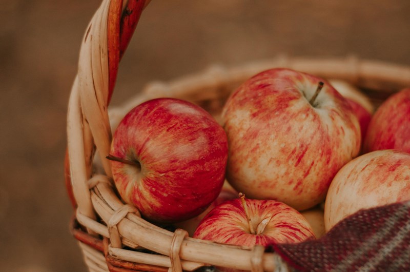 Drumheller Orchard's Apple Festival Photo