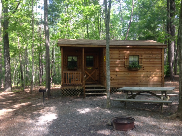 Medium Cabin