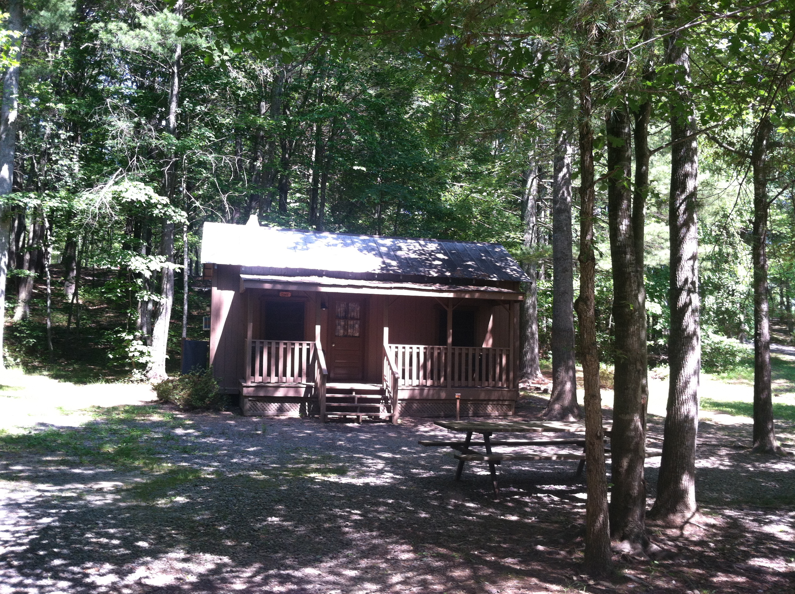 Our most popular cabin