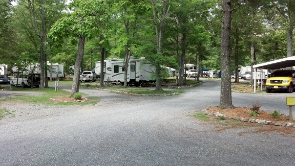 Welcome to the Lynchburg NW / Blue Ridge Parkway KOA!