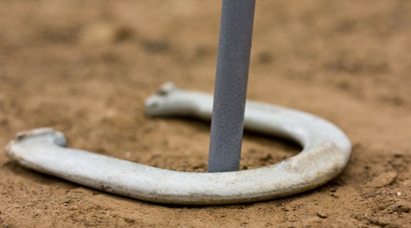 Horseshoes