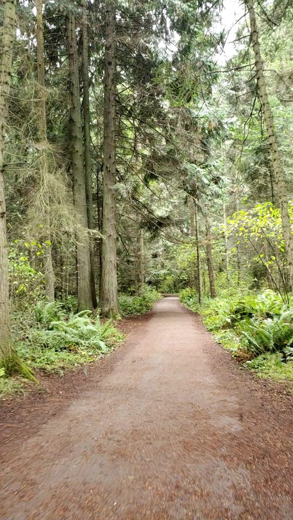 Bikeways, Walking Trails and Hiking