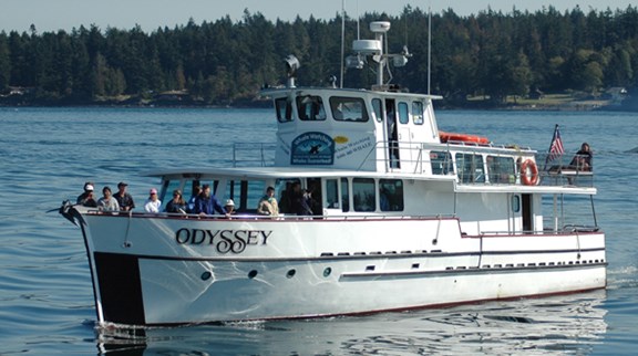 Whale Watching