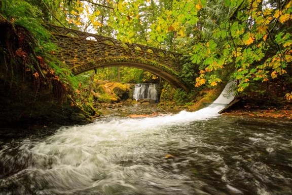 Whatcom Falls Park