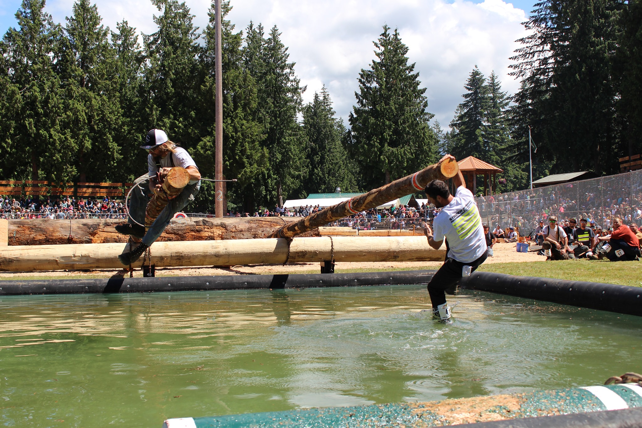 Deming Log Show Photo