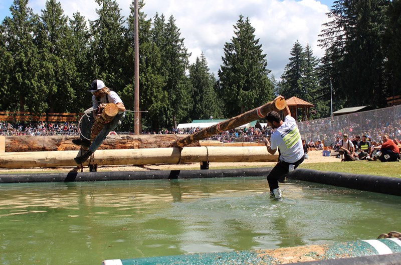Deming Log Show Photo