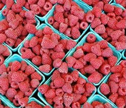 Northwest Raspberry Festival Photo