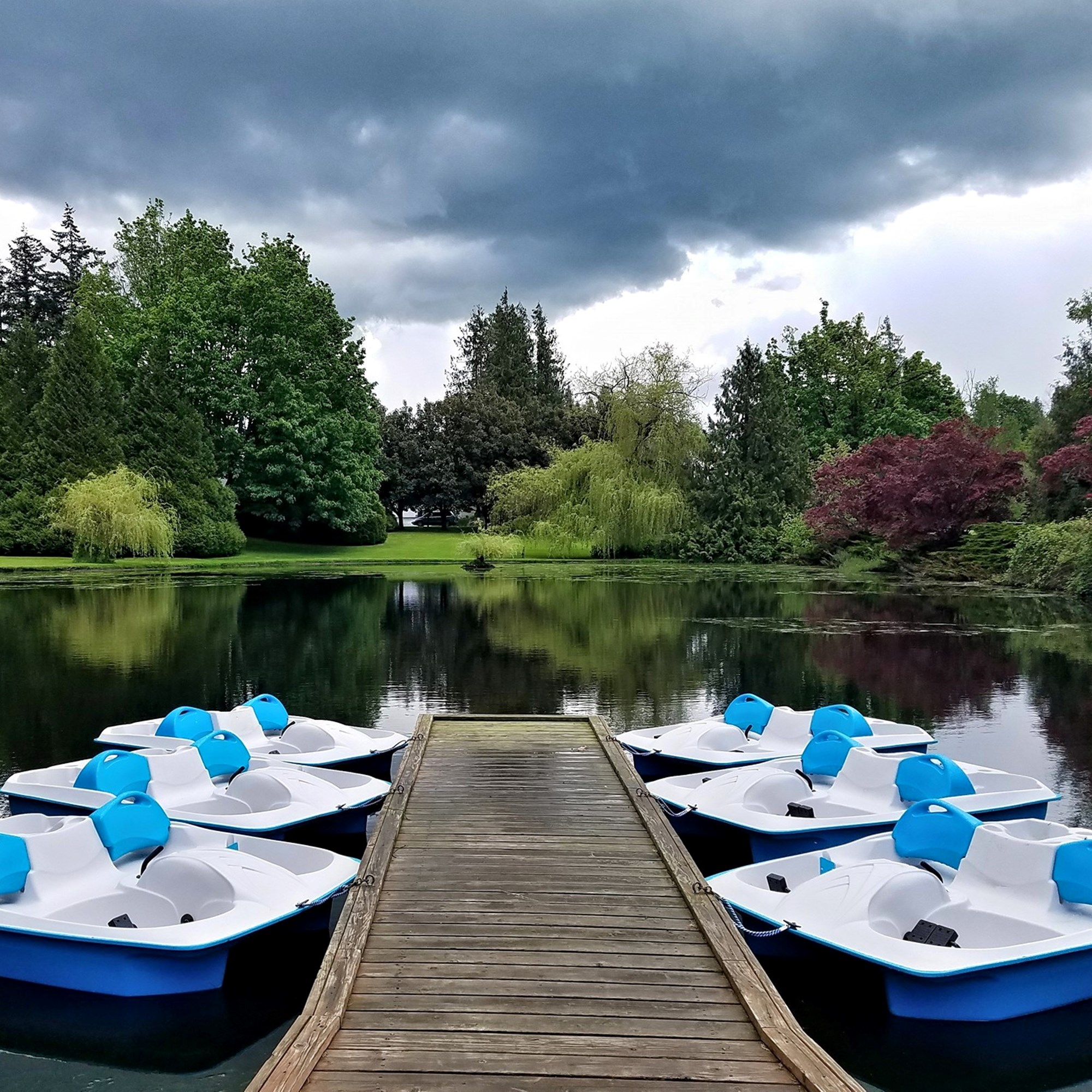 Pedal boat weekend Photo