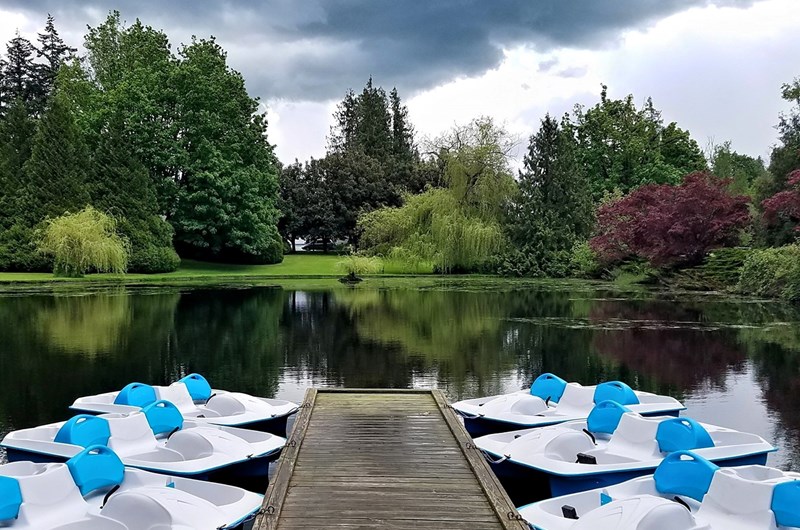 Pedal boat weekend Photo