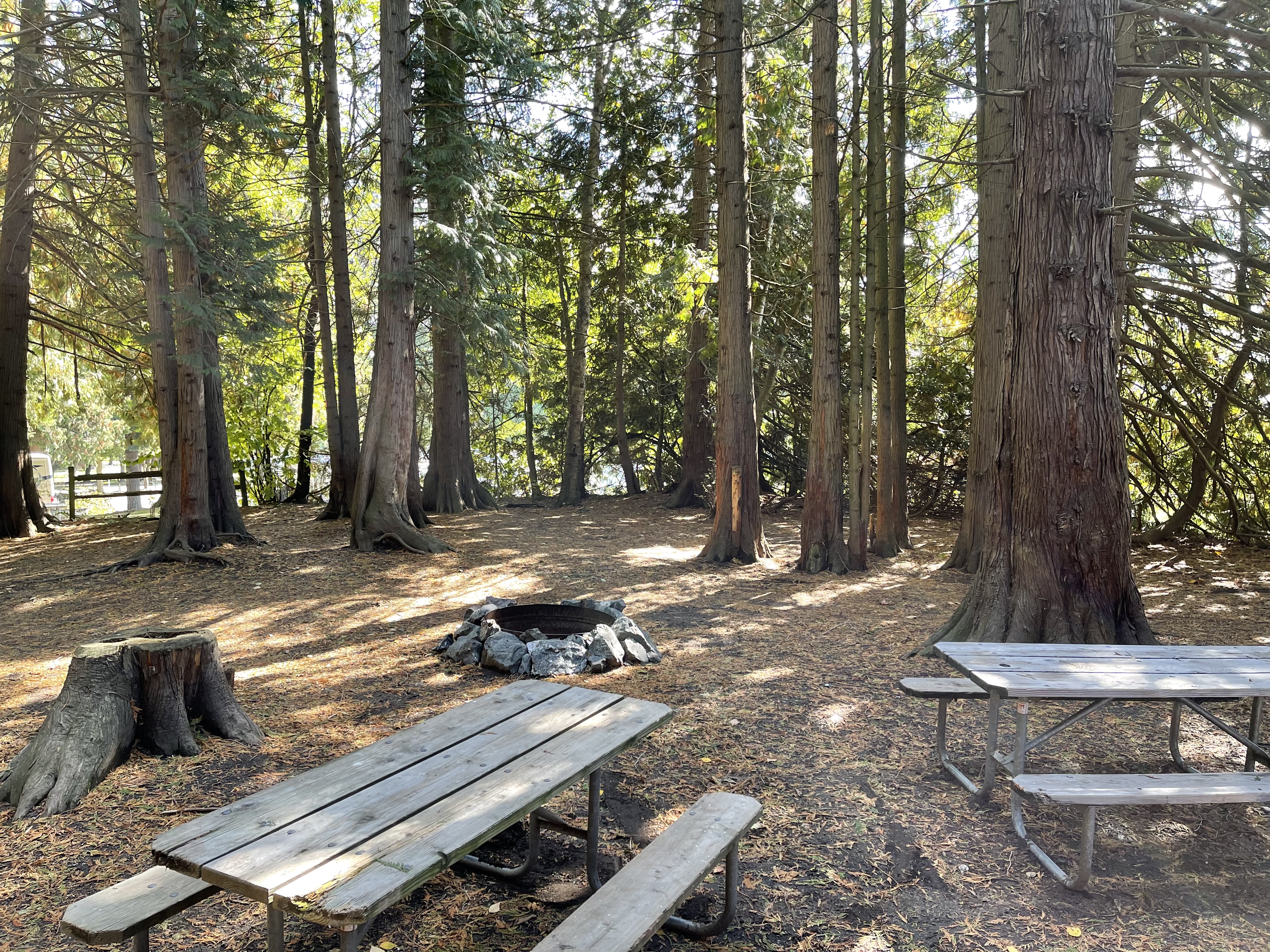 Group Tent Site