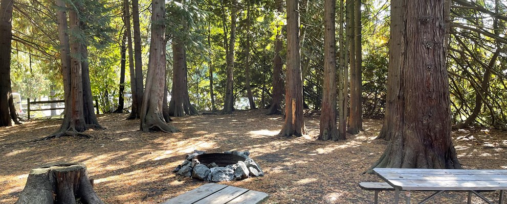 Group Tent Site