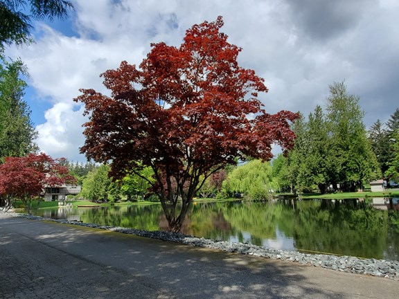 Pulling into Lynden KOA