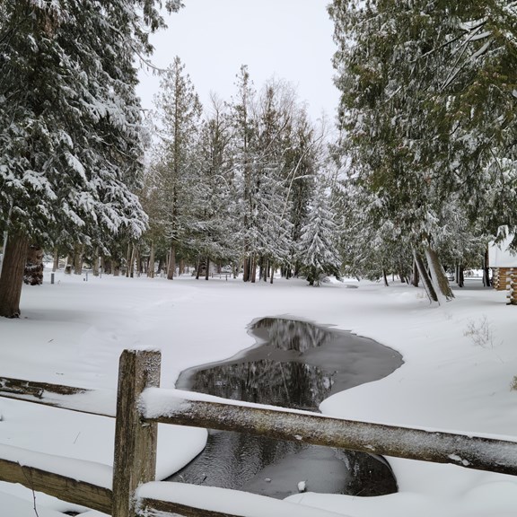 lake starting to thaw