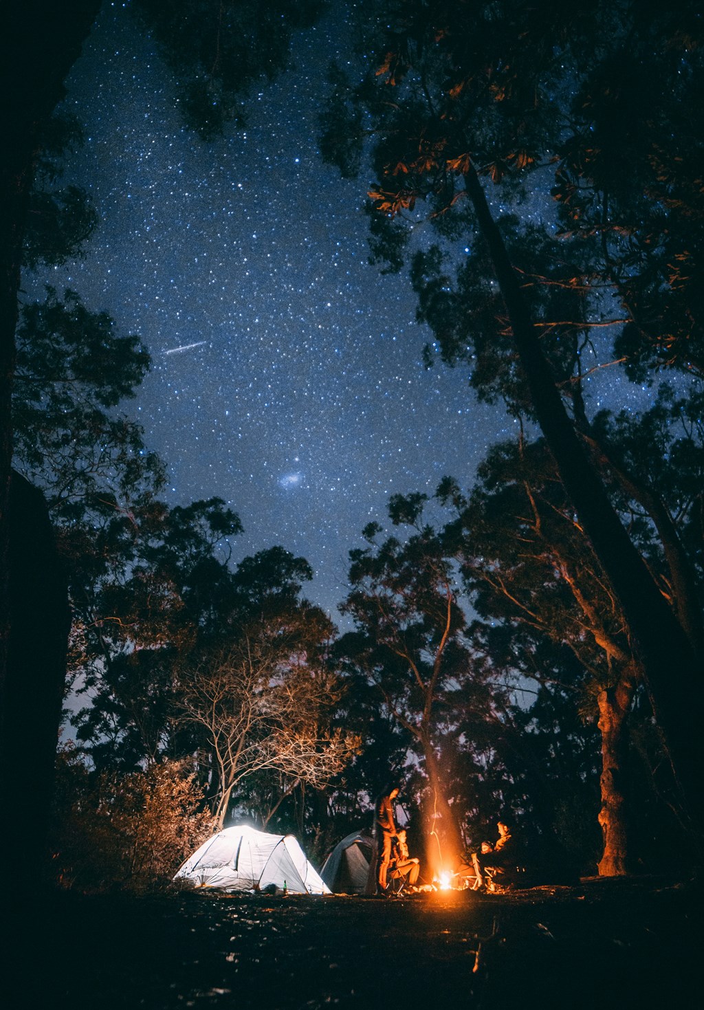 Night time Camping Activities