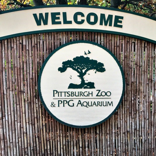 Animal Visits