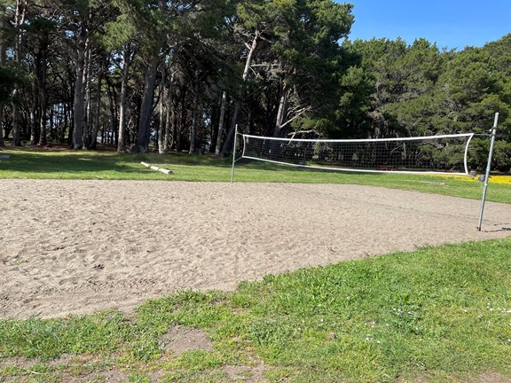 Volleyball court