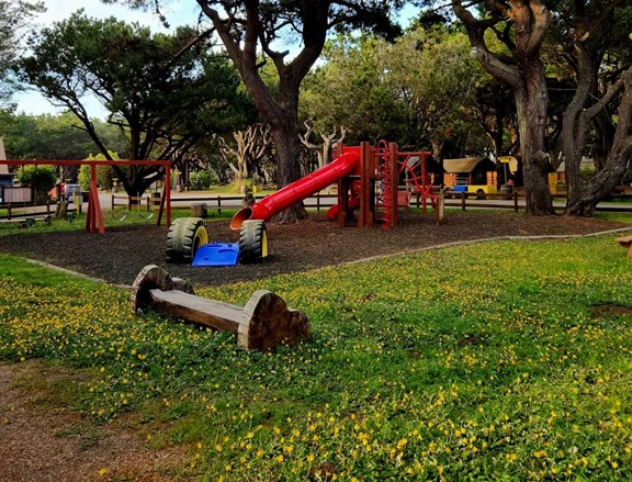 Two great playgrounds