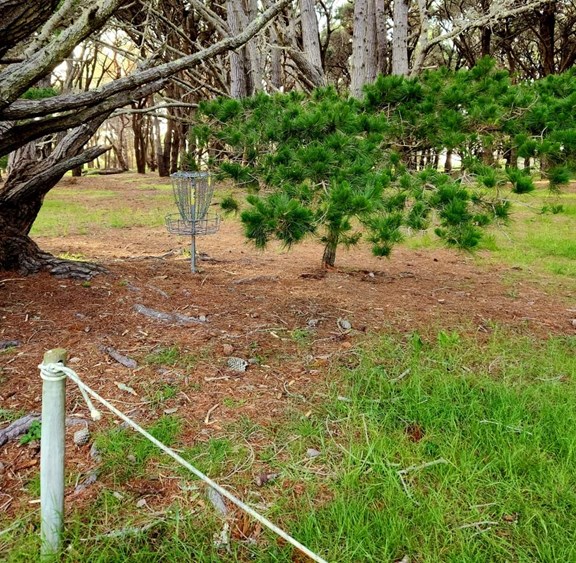 Disc golf course