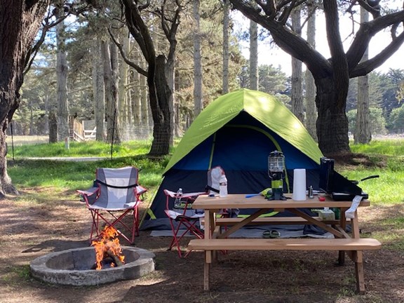 Spacious campsites