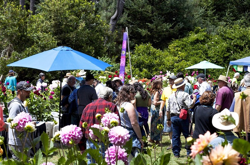 ART in the GARDENS !  Ft. Bragg Botanical Gardens/Aug 1st,2 Photo