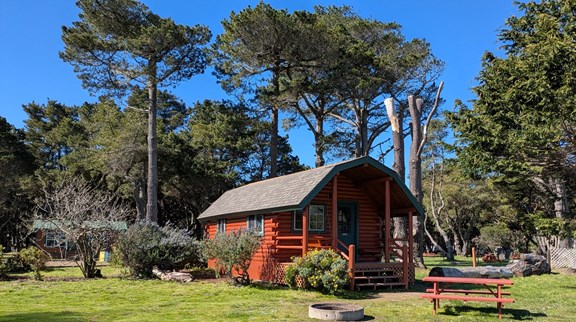Beautiful spacious cabin
