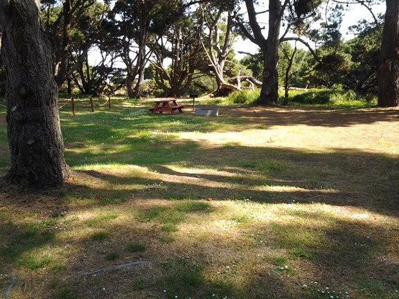 One of our many tent sites