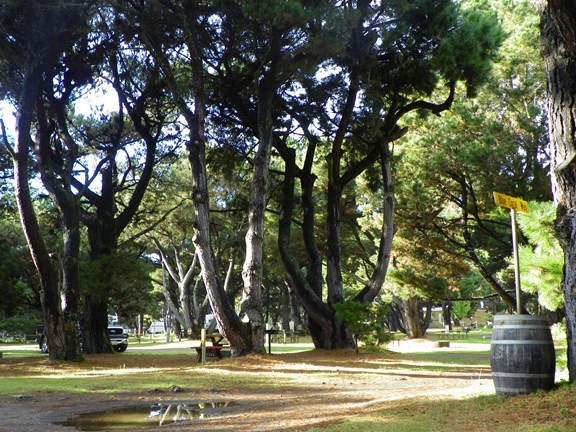 rv site