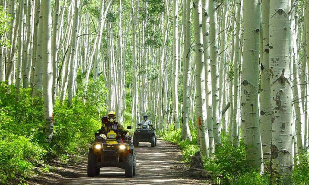 All You Need to Know About Camping with Family