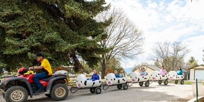 Weekend Barrel Train Rides