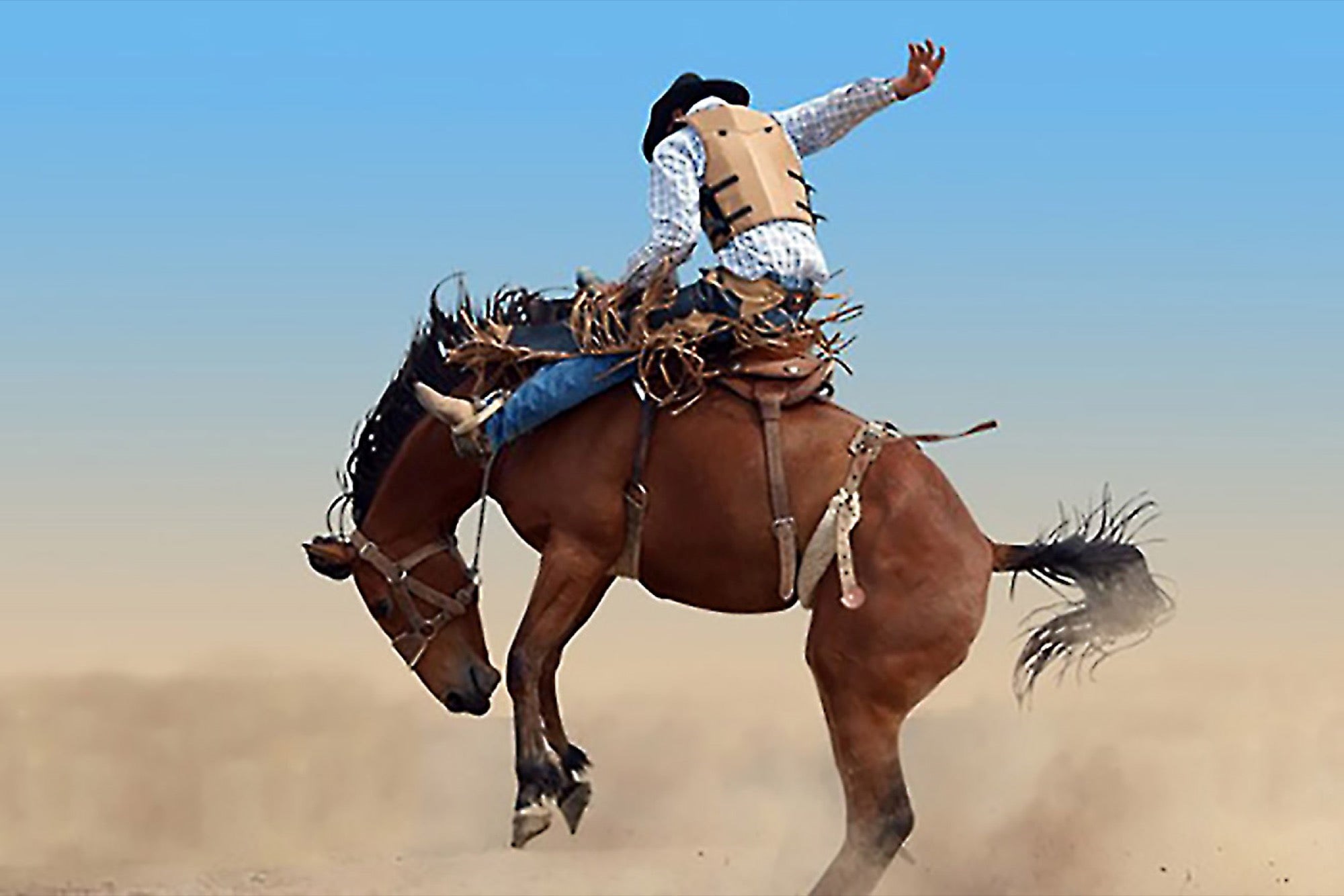 Hub City Rodeo Photo