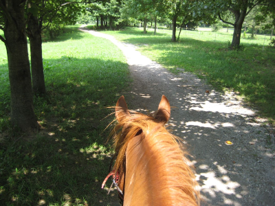 Giant City Stables