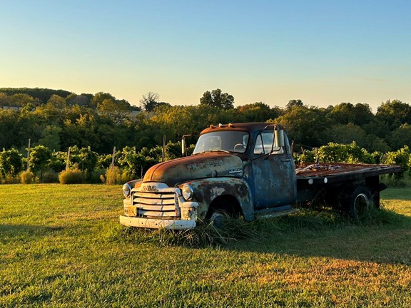 Peach Barn Winery & Cafe