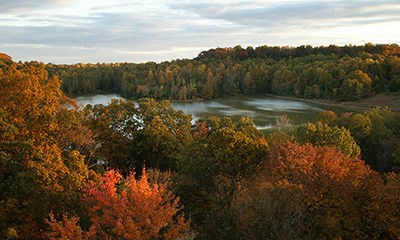 Ferne Clyffe Lake
