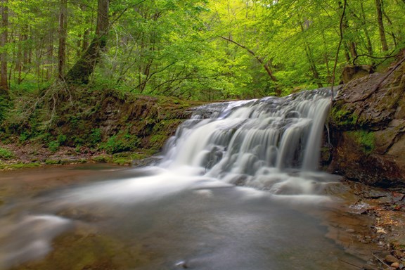 Shawnee National Forest