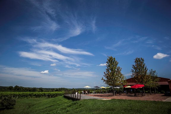 Von Jakob Winery & Brewery