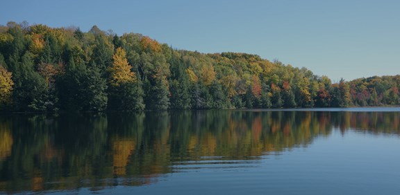 Rend Lake
