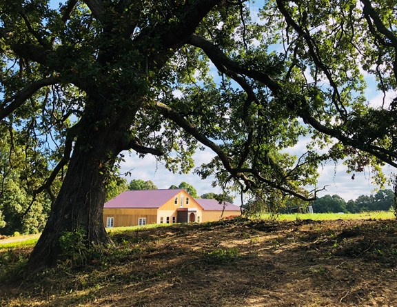 Owl Creek Vineyard